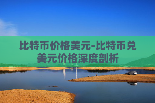 比特币价格美元-比特币兑美元价格深度剖析