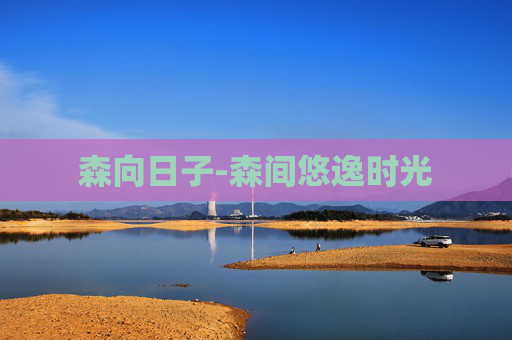 森向日子-森间悠逸时光