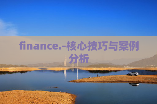 finance.-核心技巧与案例分析