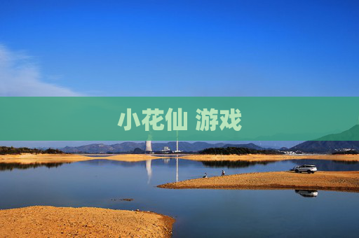 小花仙 游戏