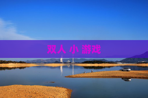 双人 小 游戏