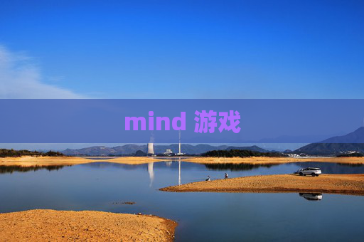 mind 游戏