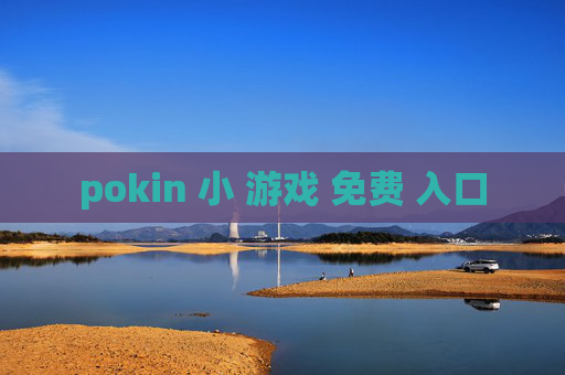 pokin 小 游戏 免费 入口