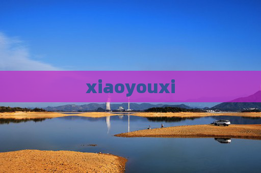 xiaoyouxi