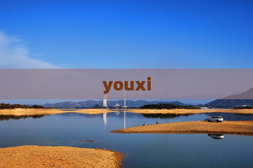 youxi