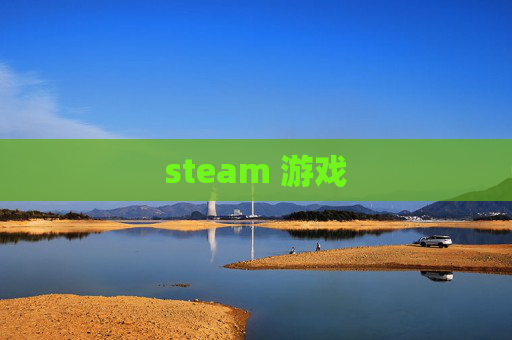 steam 游戏
