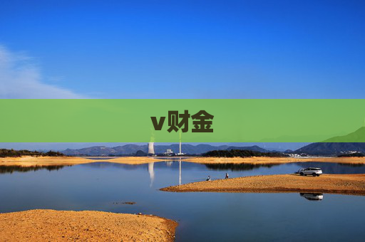 v财金