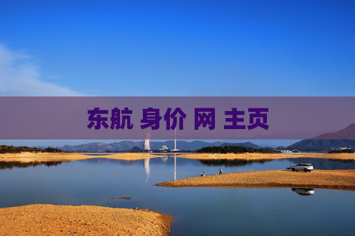 东航 身价 网 主页