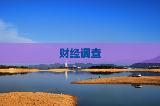 财经调查
