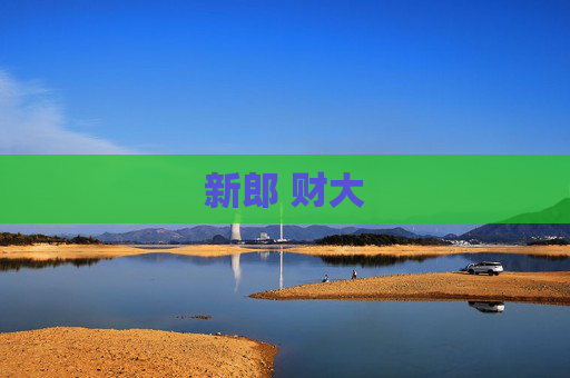 新郎 财大