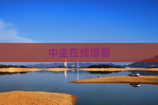 中金在线博客