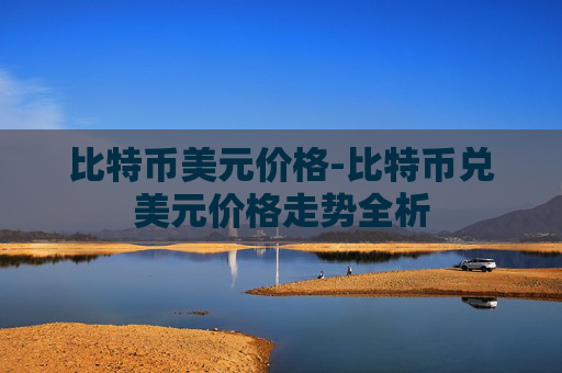比特币美元价格-比特币兑美元价格走势全析