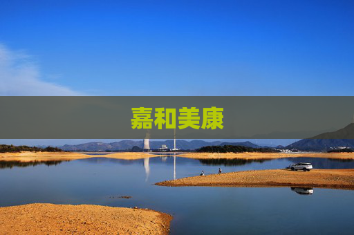 嘉和美康