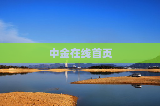中金在线首页