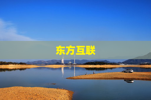 东方互联