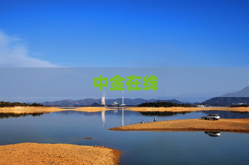 中金在线