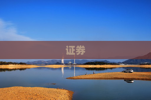 证券