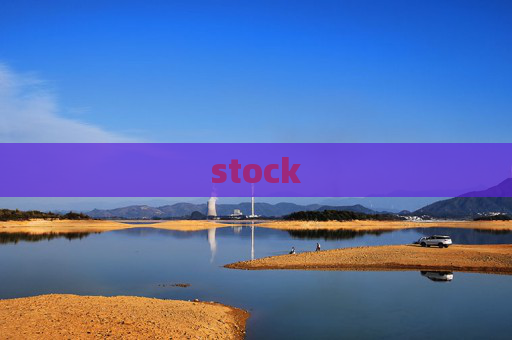 stock