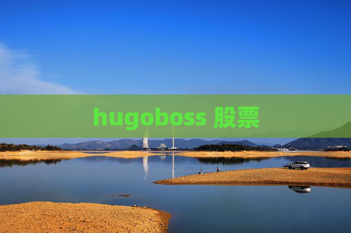 hugoboss 股票
