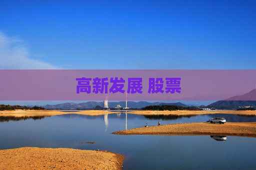 高新发展 股票