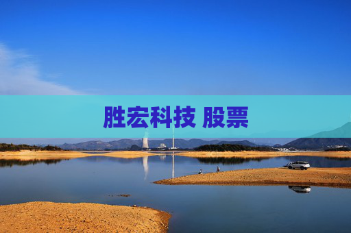 胜宏科技 股票