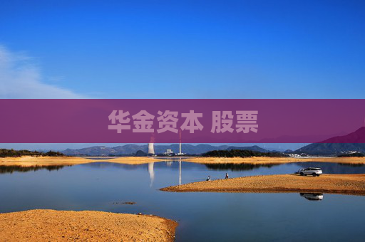 华金资本 股票