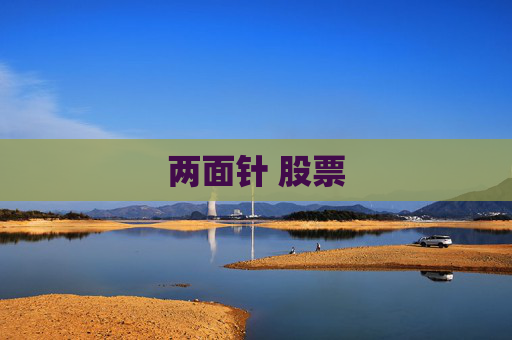 两面针 股票