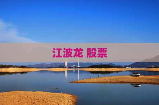 江波龙 股票