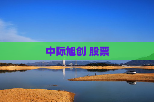 中际旭创 股票
