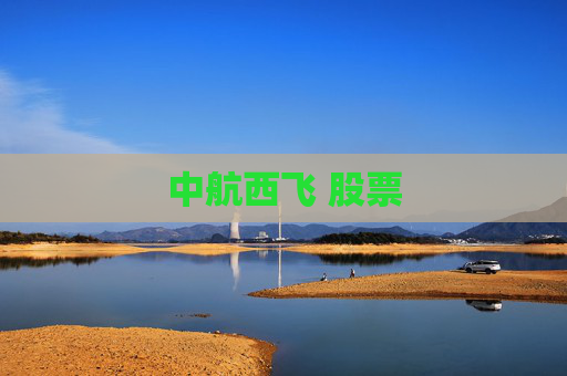 中航西飞 股票