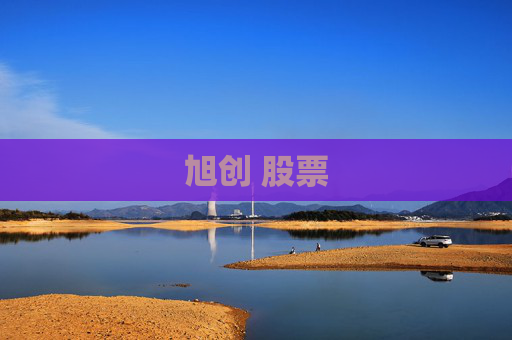 旭创 股票