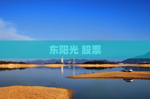 东阳光 股票