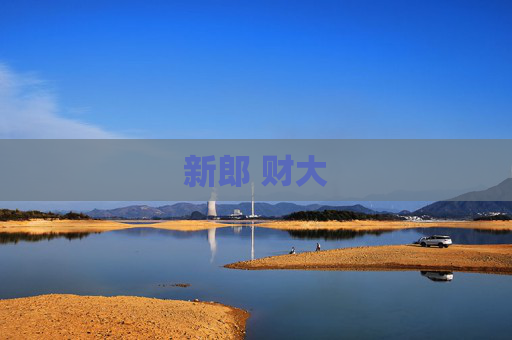 新郎 财大