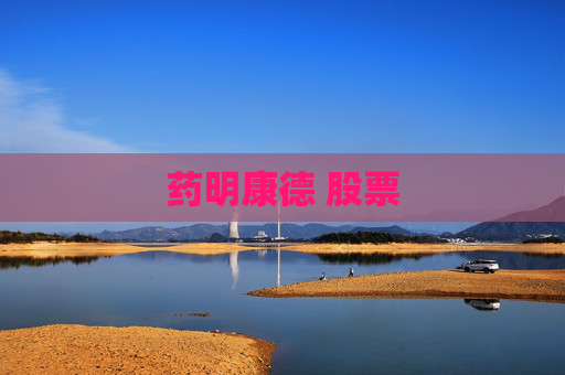 药明康德 股票