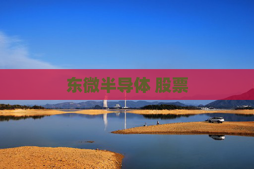 东微半导体 股票