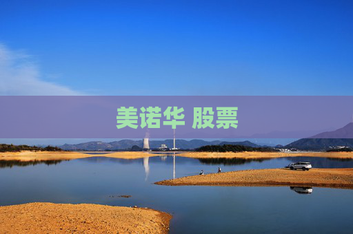 美诺华 股票