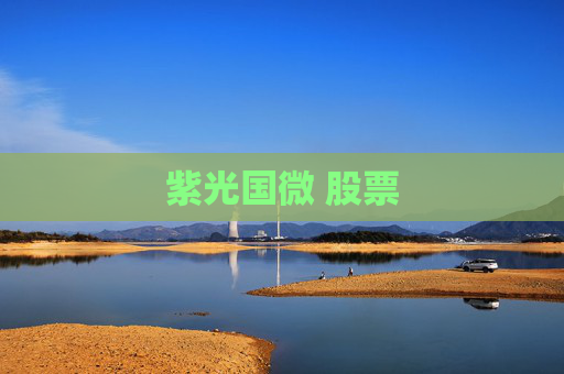 紫光国微 股票