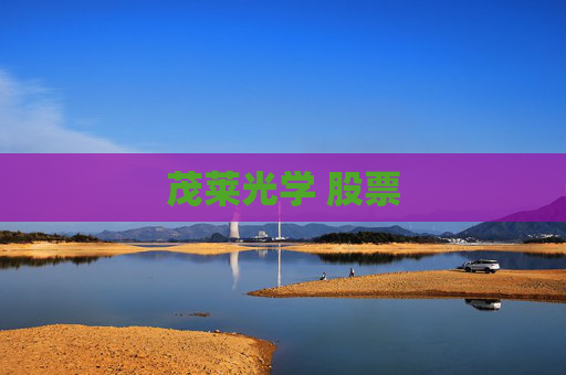 茂莱光学 股票