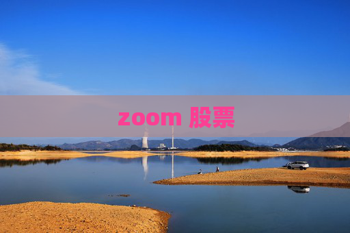 zoom 股票
