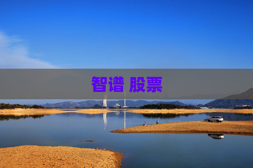 智谱 股票