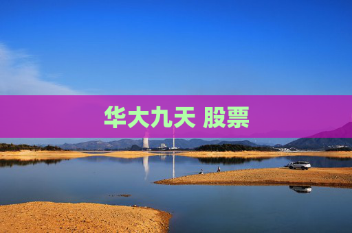 华大九天 股票