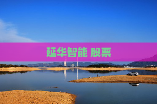 延华智能 股票