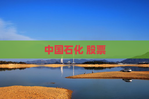 中国石化 股票