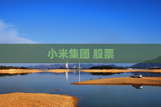 小米集团 股票