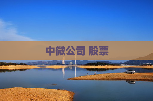 中微公司 股票