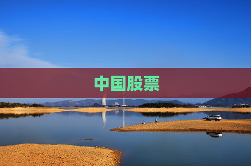 中国股票