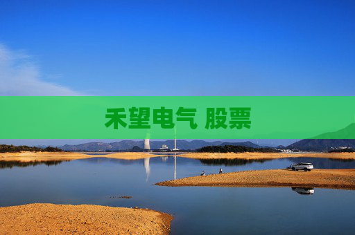 禾望电气 股票