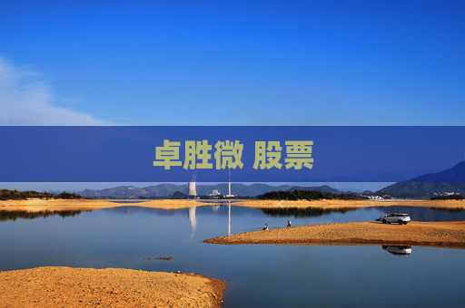 卓胜微 股票