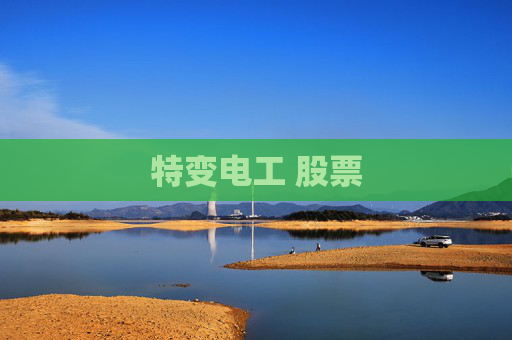 特变电工 股票