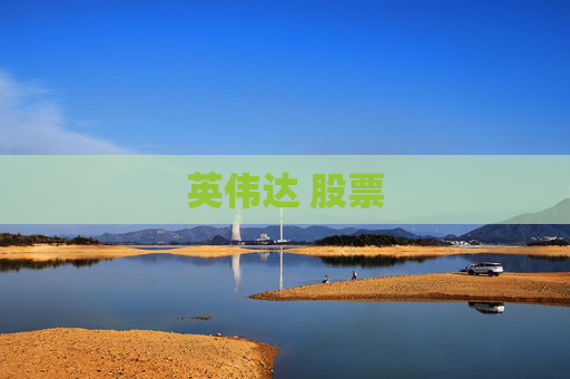 英伟达 股票
